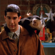 David Schwimmer and his capuchin co-star pictured in simpler, happier times.